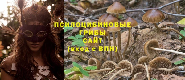 кокс Абинск