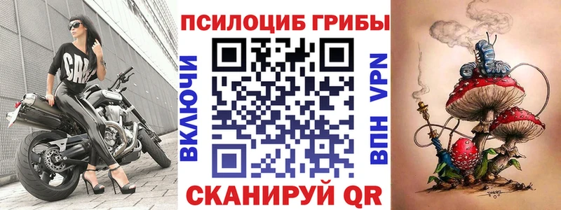 продажа наркотиков  мега рабочий сайт  Галлюциногенные грибы MAGIC MUSHROOMS  Учалы 
